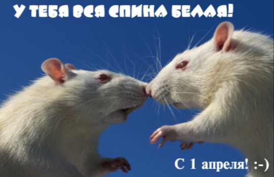 815ff475f678cea19fb841b8ba2cf750.png