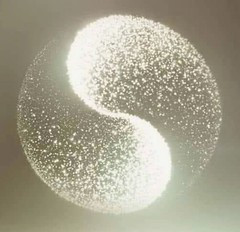 Lotte            Adpoly