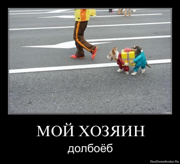 Потому что понабирают всяких долб