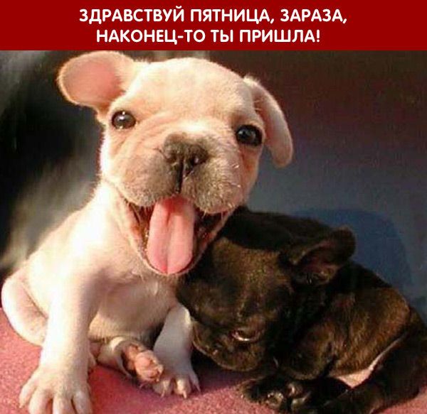 фото приколами любимая пятница самовыражения через фотографию