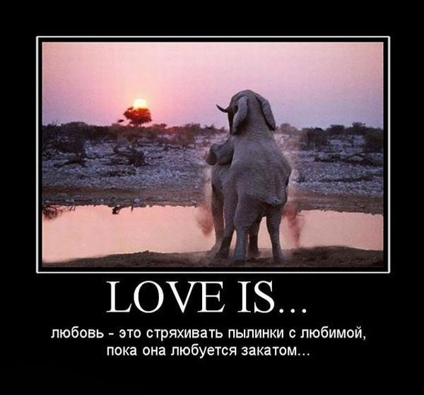 ������� �������� � �������� ������ ���, �������� ������