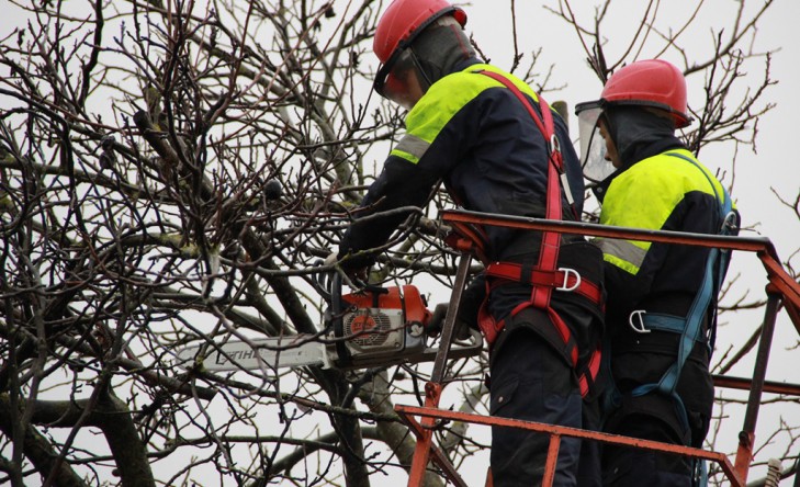 Вырубка просеки. Механическая расчистка трассы вл. Расчистка трассы вл от деревьев. Расчистка трасс вл. Вырубка просеки.