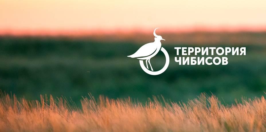 чибис елец. чибис дзержинск. умный город росатом конференция. логотип чиббис. чибис крик.