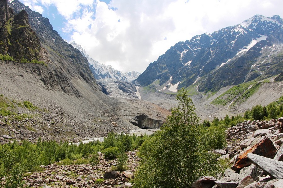 Цейское ущелье. Северо-осетинский заповедник. Государственные природные заказники северной осетии. Северо осетинский заповедник кавказа. Цейский заказник северная осетия.